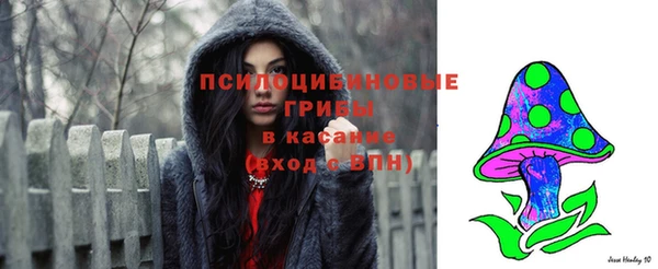 таблы Алзамай