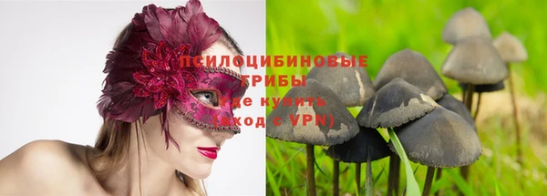 твердый Алексин