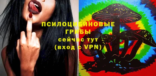 таблы Алзамай