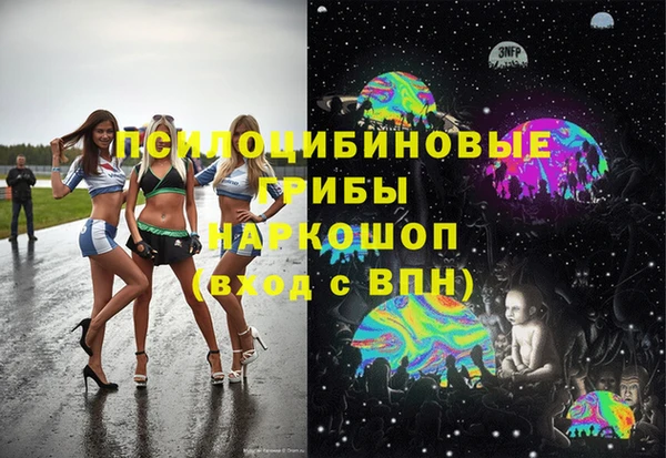 твердый Алексин